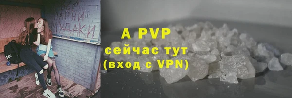 дживик Богданович