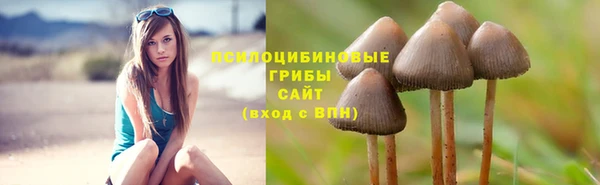 синтетический гашиш Алексин