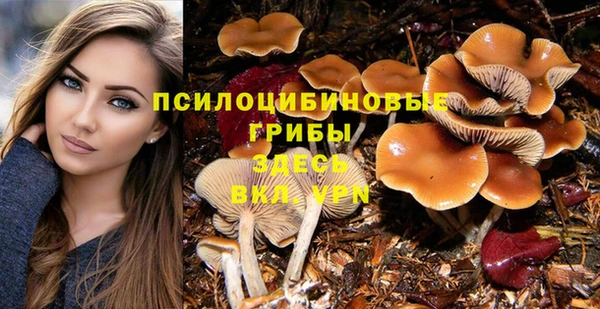 ПСИЛОЦИБИНОВЫЕ ГРИБЫ Алексеевка