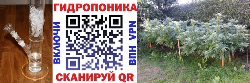 сколько стоит  Дорогобуж  Шишки марихуана SATIVA & INDICA 